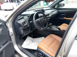 Lexus UX 250H
